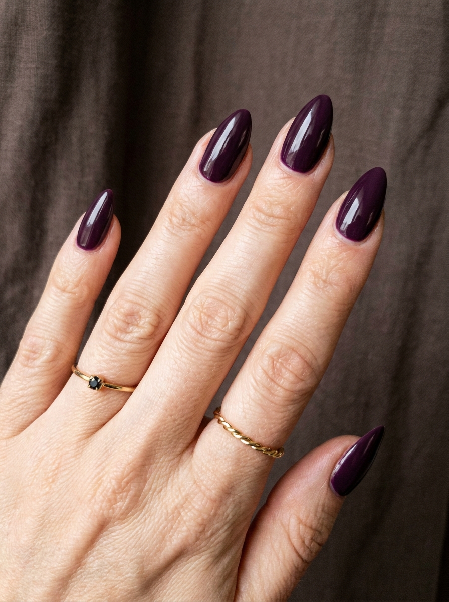 Dark Plum Stiletto Nails als Stiletto Nägel Inspiration 2026